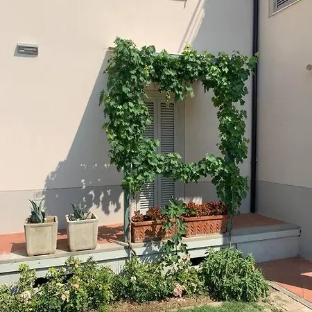 Apartamento La Casina Di Renzino Oliveto  Exterior foto