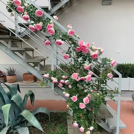 Apartamento La Casina Di Renzino Oliveto  Exterior foto