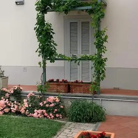 Apartamento La Casina Di Renzino Oliveto  Exterior foto