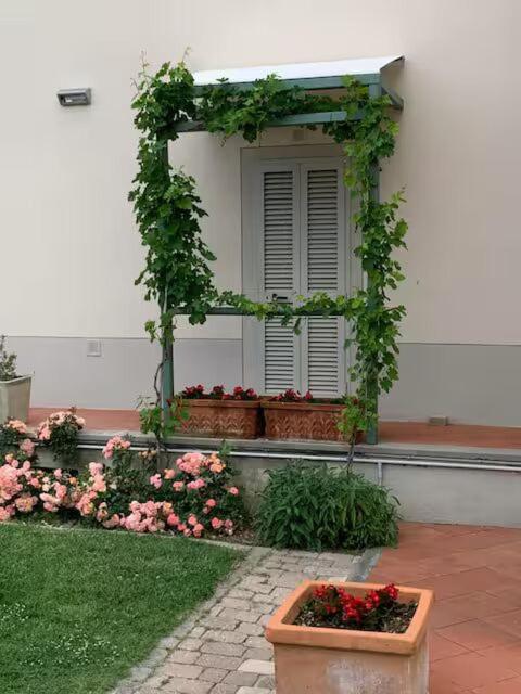 Apartment La Casina Di Renzino Oliveto (Arezzo)
